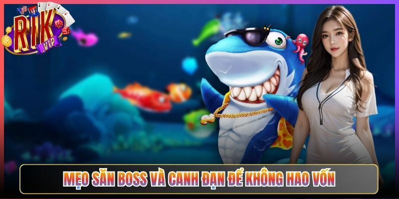Mẹo Săn Boss Và Canh Đạn Để Không Hao Vốn