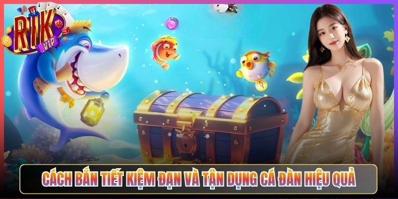 Cách Bắn Tiết Kiệm Đạn Và Tận Dụng Cá Đàn Hiệu Quả