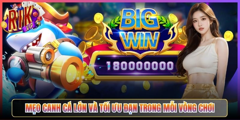Mẹo Canh Cá Lớn Và Tối Ưu Đạn Trong Mỗi Vòng Chơi