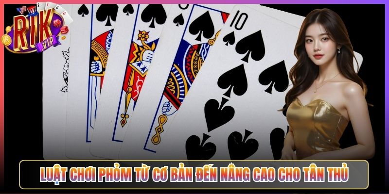 Luật Chơi Phỏm Từ Cơ Bản Đến Nâng Cao Cho Tân Thủ