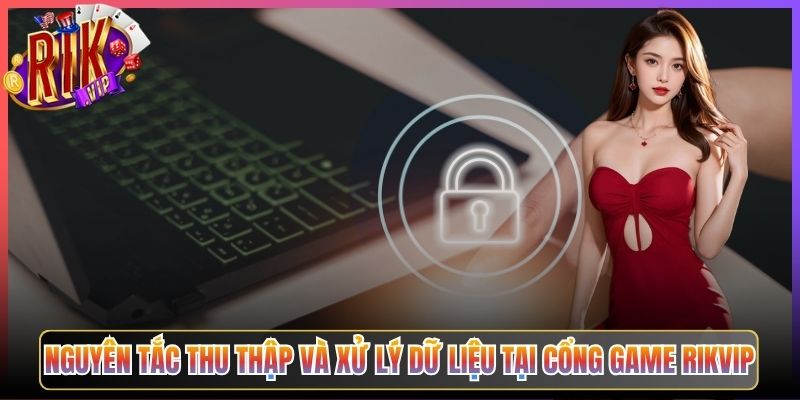 Nguyên Tắc Thu Thập Và Xử Lý Dữ Liệu Tại Cổng Game Rikvip